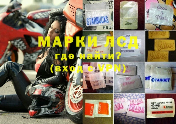 хмурый Алзамай