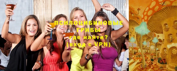хмурый Алзамай