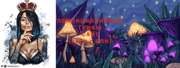 первитин Алексеевка