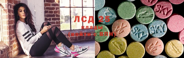 хмурый Алзамай