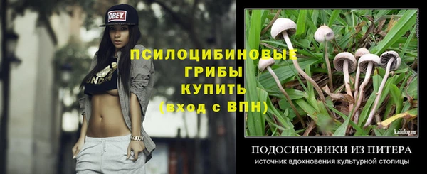хмурый Алзамай