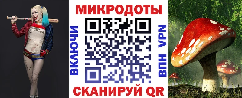 Псилоцибиновые грибы Cubensis  Когалым 
